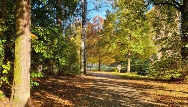 Les Tilleuls - Foto 3