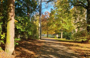 Les Tilleuls - Foto 3