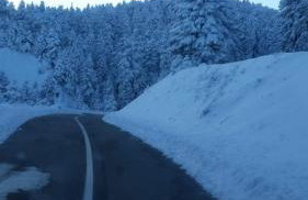 Άγρια Λούλουδα Κατοικία Αρμονία - Photo 52