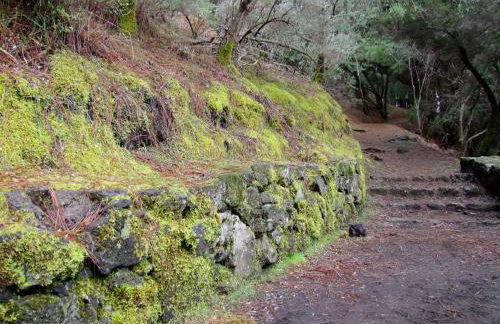 Villas Las Cercas - Photo 69