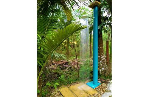 Sitio Libardo em Meio a Natureza - Nova Trento - Foto 88