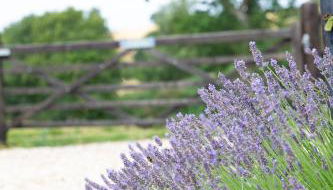 Whitbourne farm - Foto 5