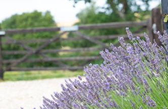 Whitbourne farm - Foto 5