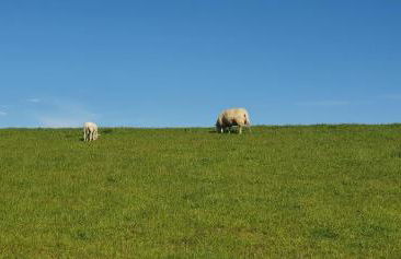 Lieblingsplatz WHG3 - Foto 41