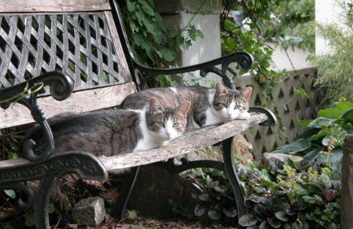 Atelier-Rapp - Foto 21