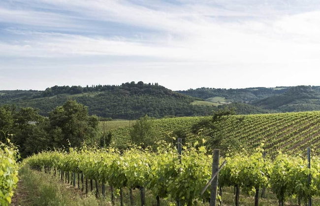 Agriturismo Pomonte - Foto 10