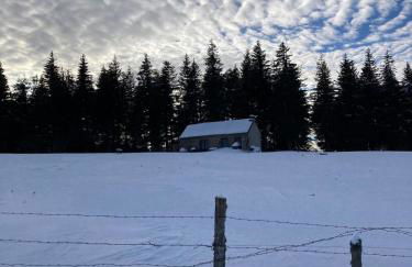 Charmante maison au coeur d'un village auvergnat - Foto 9