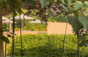 Hotel Rural Xereca - Foto 58