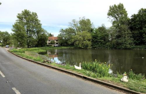 Pilgrims - Traditional flint cottage with open fire - Foto 19