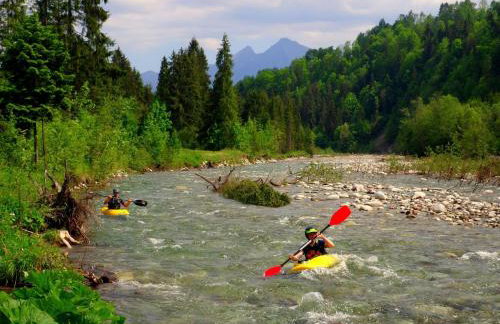 Domek z Góralską Duszą Śleboda - Foto 47