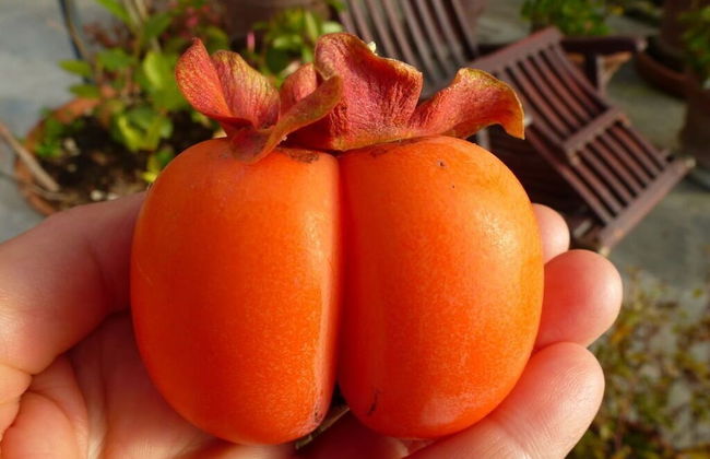 Casa Juliana Comfortable Holiday Residence - Photo 15