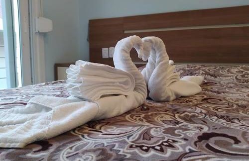 V do Lago Negro - CASA - Photo 36