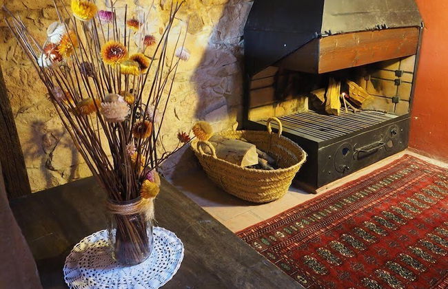 Mas Cal Sastre - Photo 19