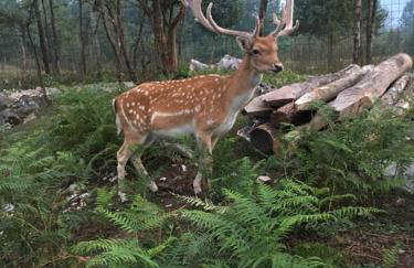 Apartment Lena - Foto 36