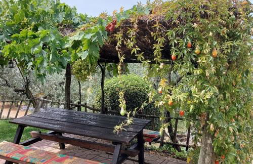 Agriturismo Villa Carducci - Foto 18