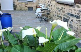 Appartement T2 "Le Cocoön" rez-de-jardin au calme - Foto 11