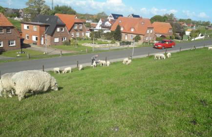 Haus Heimathafen Fedsiel - Foto 15