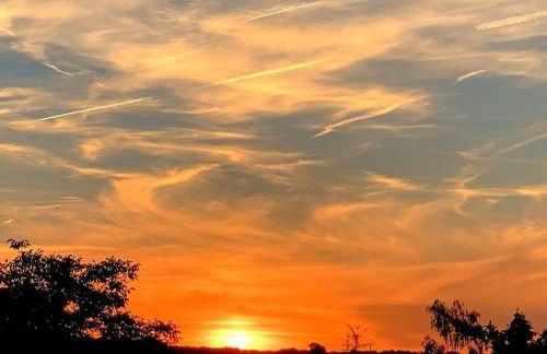 Freistehender Bungalow in Marktbreit in Traumlage mit großem Garten - Foto 6