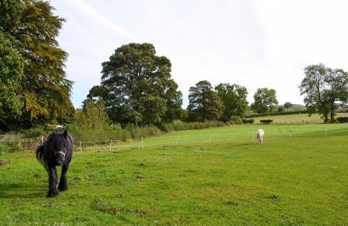 Bridge End Farm - Foto 12