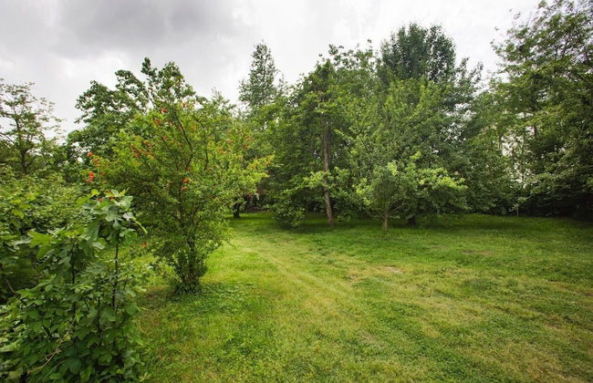 Oykum Villa Sapanca - Foto 18