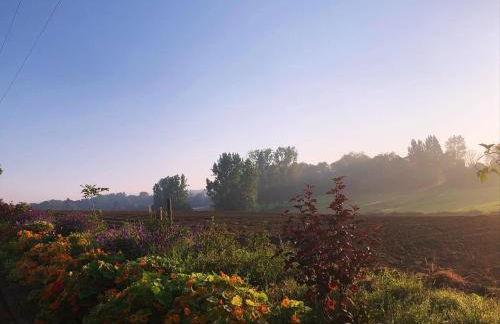 Au coin du loup, monts de Flandres, Zwarteberg - Foto 28