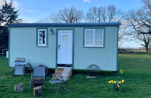 Starry Meadow & Rescued Animal Experiences - Foto 10