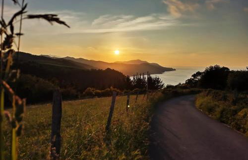 Galtzu apartamentu - Foto 27