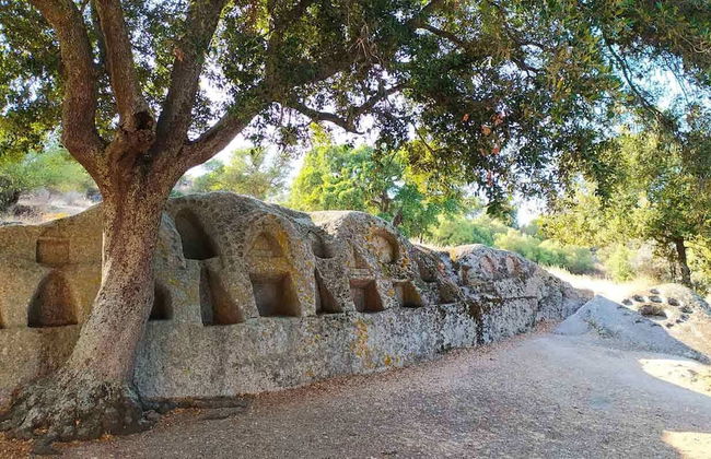 Agriturismo B&B Domo De Resteblas - Foto 55