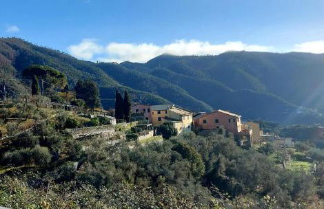 La Jeannotte - Foto 13