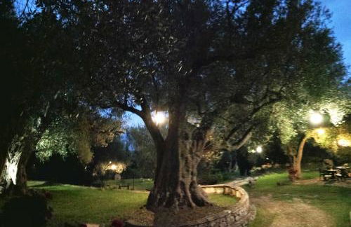 Pie' d'Ulivo - Foto 102