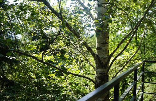 Domek Zielony Widok - noclegi Bieszczady - Foto 43