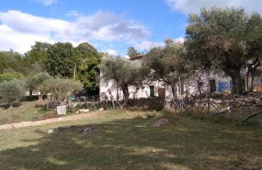 la masseria di Antonio e Teresina - Foto 22