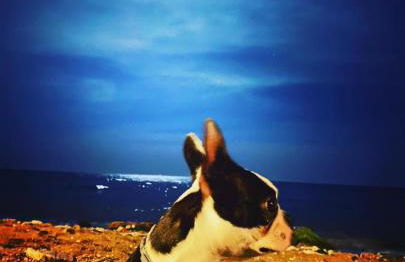 Marbella Atico duplex-Las vistas de Laia - Photo 79