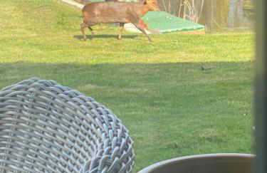 Otters End, near Wroxham - Foto 14