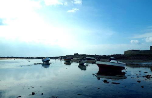 Loriot1- Appartement vue mer sur le fort bloqué ploemeur - Foto 28