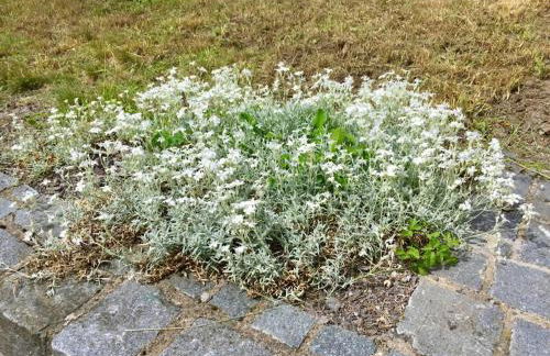 Ferienhaus am Rennsteig - Foto 17