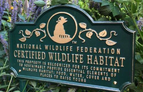 Private Tropical Waterfront Sanctuary w pool, hot tub & an island! Pet Friendly - Foto 56