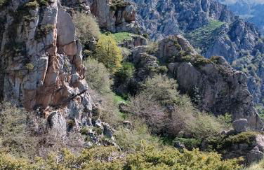 Ca l'ESTRELLA - Foto 36