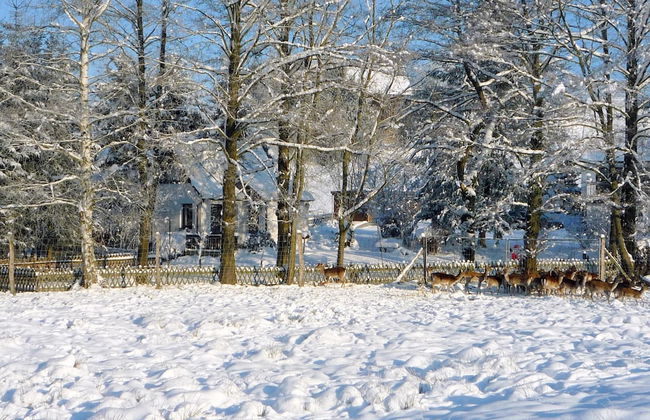 Holiday Home in Saxony With Private Terrace - Foto 14