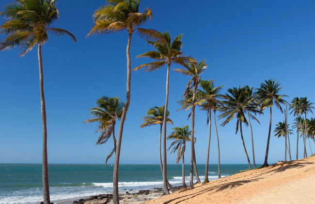 Excursão à praia de Lagoinha - Photo 1