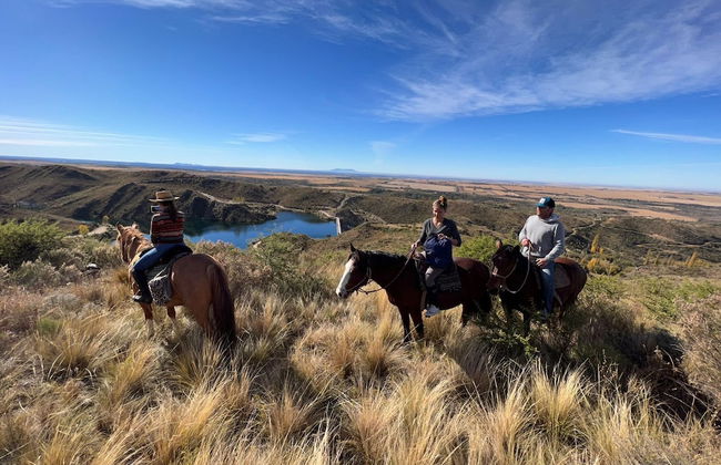 Estancia Grande - Foto 37