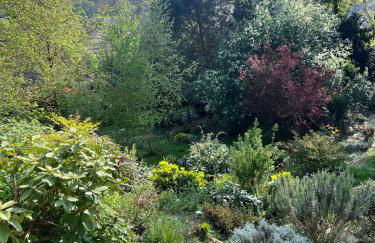 Enclos de Châtillon - Grand jardin dépendance - Foto 18