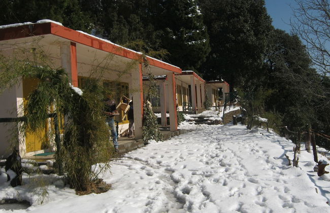 Room-janardan Resort Pangot, Nainital - Foto 4