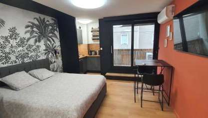 Studio climatisé Place de Jaude Garage balcon tv wifi - Foto 1