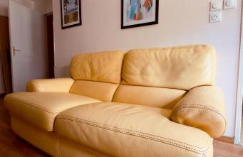 T2 Tout confort TV 55' avec canal séries netflix Disney Dazen Bein sport apple TV OCS paramount prime vidéo - Foto 11