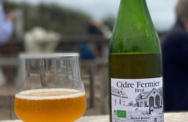 La maison bleue vacance et jardin, la mer à 550 m - Foto 12