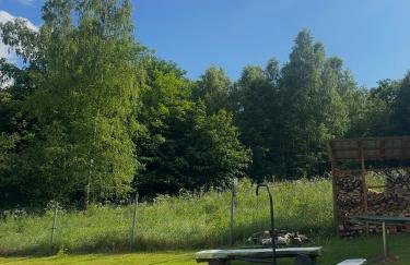 Leśna Ostoja - Foto 56