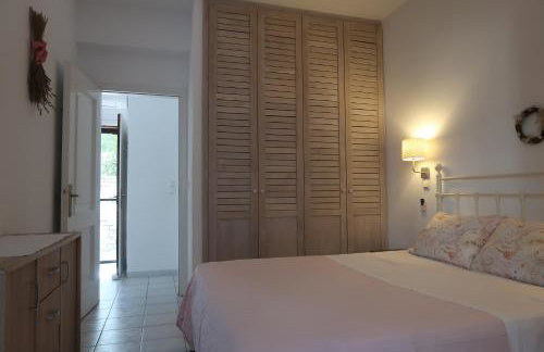 Bougainvillea - Foto 34