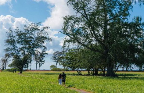 Kauai Plantation Hale Hotel - Foto 46