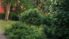 City Apartment 1#Netflix &Wlan &Kingsize Bett &Kaffee Maschine & Zentral & 500m Innenhafen & 2 min U Bahn - Photo 4, Garden, Garden view